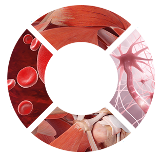 Circle-banner-version