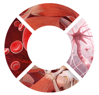 Circle-banner-version_1647870698_original